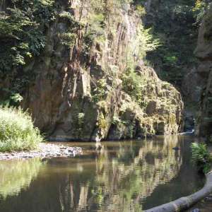Obrázek