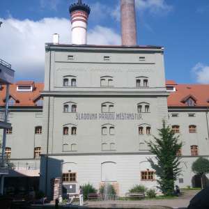 Obrázek