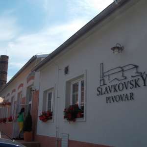 Obrázek