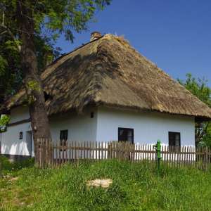 Obrázek