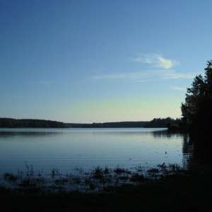 Obrázek