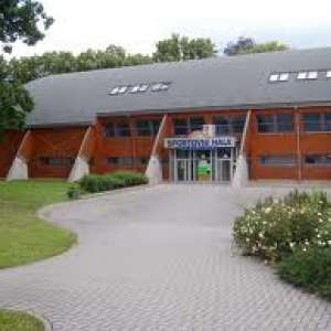 Obrázek