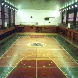 Obrázek