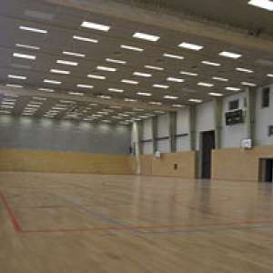 Obrázek