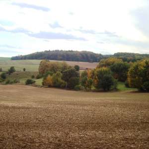 Obrázek