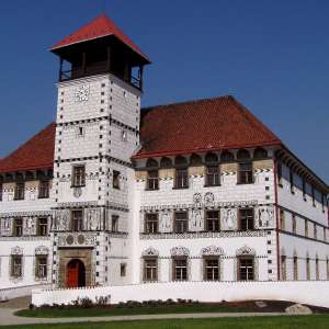 Obrázek