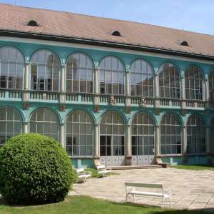 Obrázek