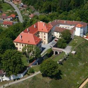 Obrázek