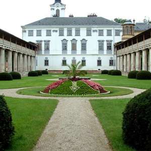 Obrázek
