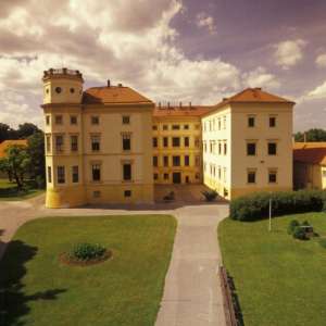 Obrázek