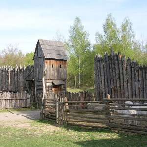 Obrázek