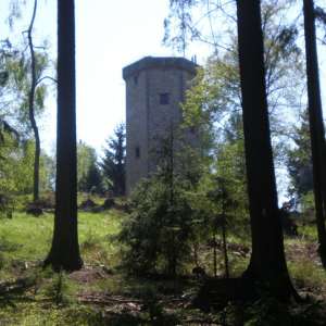 Obrázek