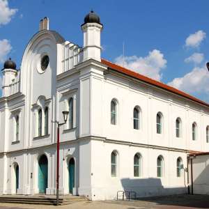 Obrázek