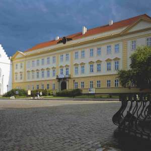 Obrázek