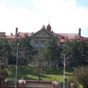 Obrázek