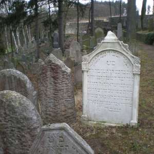 Obrázek