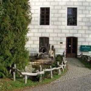 Obrázek