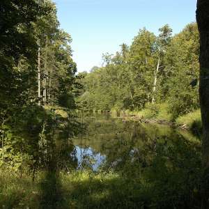 Obrázek