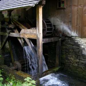 Obrázek