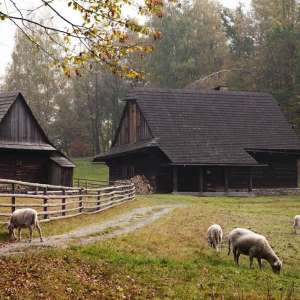 Obrázek