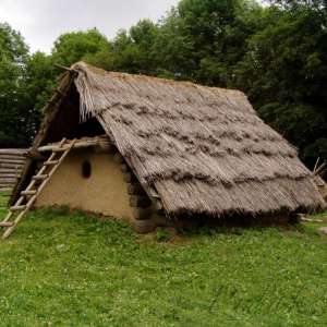 Obrázek