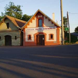 Obrázek