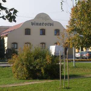 Obrázek
