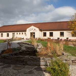 Obrázek