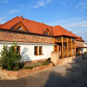 Obrázek