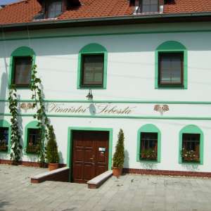 Obrázek