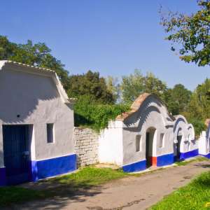 Obrázek