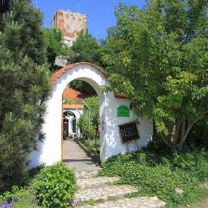 Obrázek