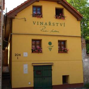Obrázek