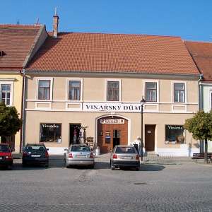 Obrázek