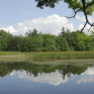 Obrázek