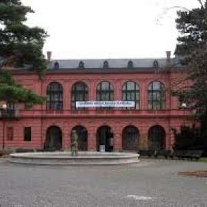 Obrázek