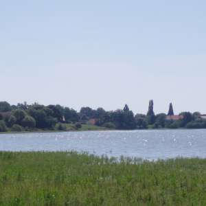 Obrázek