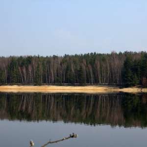 Obrázek