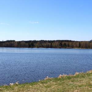 Obrázek