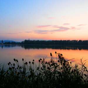 Obrázek