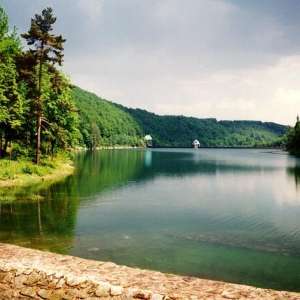 Obrázek