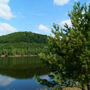 Obrázek