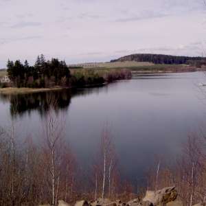 Obrázek