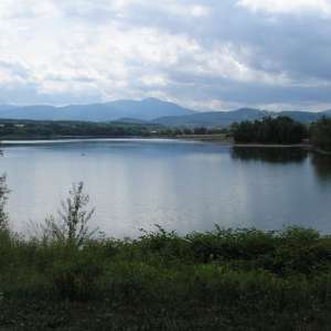 Obrázek