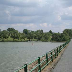Obrázek