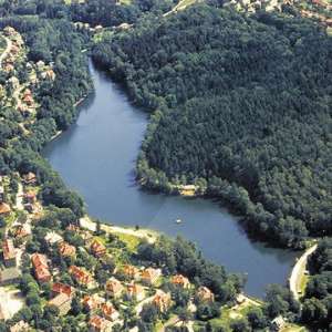 Obrázek