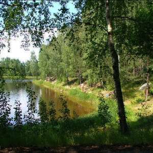 Obrázek