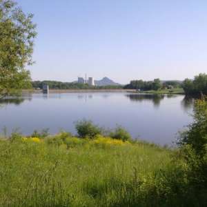 Obrázek