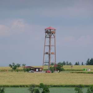 Obrázek