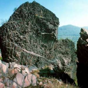 Obrázek